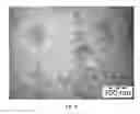 Fig. 17 - SYNTHESIS OF BIO-FUNCTIONALIZED RARE EARTH DOPED UPCONVERTING NANOPHOSPHORS