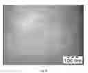 Fig. 18 - SYNTHESIS OF BIO-FUNCTIONALIZED RARE EARTH DOPED UPCONVERTING NANOPHOSPHORS