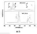 Fig. 19 - SYNTHESIS OF BIO-FUNCTIONALIZED RARE EARTH DOPED UPCONVERTING NANOPHOSPHORS