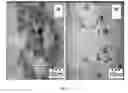 Fig. 23 - SYNTHESIS OF BIO-FUNCTIONALIZED RARE EARTH DOPED UPCONVERTING NANOPHOSPHORS
