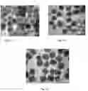 Fig. 25 - SYNTHESIS OF BIO-FUNCTIONALIZED RARE EARTH DOPED UPCONVERTING NANOPHOSPHORS