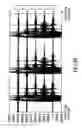 Fig. 05 - Systems and methods of processing impulses including bullet pulses and/or muzzle pulses in association with time domain representations