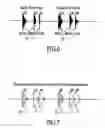 Fig. 12 - Systems and methods of processing impulses including bullet pulses and/or muzzle pulses in association with time domain representations
