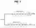 Fig. 02 - Virtual queue