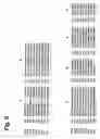 Fig. 05 - Prebiotic composition or pharmaceutical composition synthesized from catalytic domains producing highly α-1,2 branched dextran