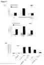 Fig. 06 - Assays for determining compounds which modulate TRAM phosphorylation