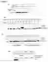 Fig. 07 - Assays for determining compounds which modulate TRAM phosphorylation