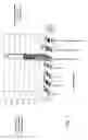 Fig. 02 - Vaccine composition comprising an antigen and a peptide having adjuvant properties