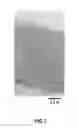 Fig. 02 - Optical film and method for producing same