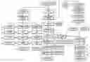 Fig. 01 - Reproductive cell system