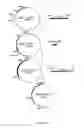 Fig. 02 - Isolated DNAX subunit and use thereof