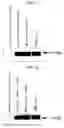 Fig. 09 - Human Protooncogene TRG and Protein Encoded Therein