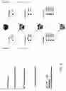 Fig. 03 - Bead Bound Combinatorial Oligonucleoside Phosphorothioate And Phosphorodithioate Aptamer Libraries