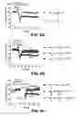 Fig. 06 - MOLECULES INVOLVED IN SYNAPTOGENESIS AND USES THEREFOR