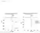 Fig. 09 - CHOLINERGIC/SEROTONINERGIC RECEPTOR AND USES THEREOF