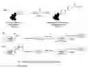 Fig. 01 - Compositions containing, methods involving, and uses of non-natural amino acids and polypeptides