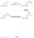 Fig. 33 - Compositions containing, methods involving, and uses of non-natural amino acids and polypeptides