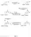 Fig. 35 - Compositions containing, methods involving, and uses of non-natural amino acids and polypeptides