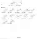 Fig. 43 - Compositions containing, methods involving, and uses of non-natural amino acids and polypeptides