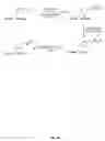 Fig. 45 - Compositions containing, methods involving, and uses of non-natural amino acids and polypeptides