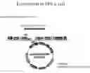 Fig. 01 - Fluorescent protein and gene encoding the same