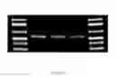 Fig. 02 - Compositions and method for storage of nucleic acid from bodily fluids