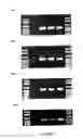 Fig. 03 - Compositions and method for storage of nucleic acid from bodily fluids
