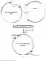 Fig. 01 - System for capturing and modifying large pieces of genomic DNA and constructing organisms with chloroplasts