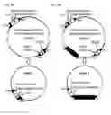 Fig. 09 - System for capturing and modifying large pieces of genomic DNA and constructing organisms with chloroplasts
