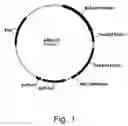Fig. 02 - Methods of reducing the inhibitory effect of a tannin on the enzymatic hydrolysis of cellulosic material