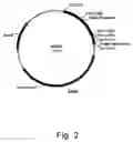 Fig. 03 - Methods of reducing the inhibitory effect of a tannin on the enzymatic hydrolysis of cellulosic material