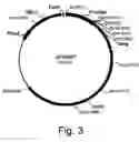 Fig. 04 - Methods of reducing the inhibitory effect of a tannin on the enzymatic hydrolysis of cellulosic material