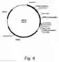 Fig. 07 - Methods of reducing the inhibitory effect of a tannin on the enzymatic hydrolysis of cellulosic material