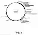 Fig. 08 - Methods of reducing the inhibitory effect of a tannin on the enzymatic hydrolysis of cellulosic material
