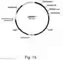 Fig. 16 - Methods of reducing the inhibitory effect of a tannin on the enzymatic hydrolysis of cellulosic material