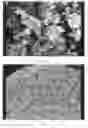 Fig. 01 - METHOD FOR FABRICATING AEROGELS AND THEIR APPLICATION IN BIOCOMPOSITES