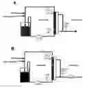 Fig. 01 - Virus purification using ultrafiltration