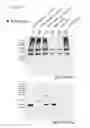 Fig. 13 - Modulators of odorant receptors