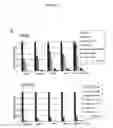 Fig. 18 - Modulators of odorant receptors