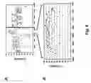 Fig. 06 - Enhanced expression and stability regions