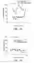 Fig. 09 - Screening method for compounds that promote differentiation of inner ear progenitor cells