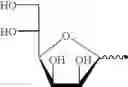 Fig. 197 - Nucleobase having perfluoroalkyl group and process for producing the same
