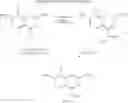 Fig. 13 - Process for preparing acyclic HCV protease inhibitors