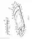 Fig. 02 - Bicycle seat sizer and positioning device