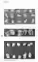 Fig. 09 - Regeneration