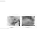 Fig. 12 - Regeneration