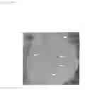 Fig. 17 - Regeneration