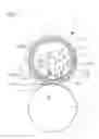 Fig. 02 - SHOE SUCTION PRESS ROLL