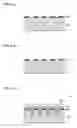 Fig. 06 - Method for forming fine particles, method for forming concavities and convexities, and device for forming fine particles