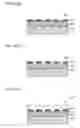 Fig. 08 - Method for forming fine particles, method for forming concavities and convexities, and device for forming fine particles